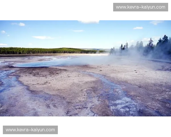 山猫的野性与太阳的光芒：一场旷世的较量，一场生命的赞歌